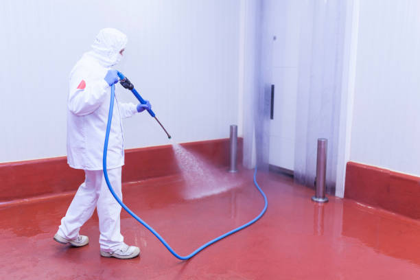 Best House Exterior Washing  in Meridian Village, CO
